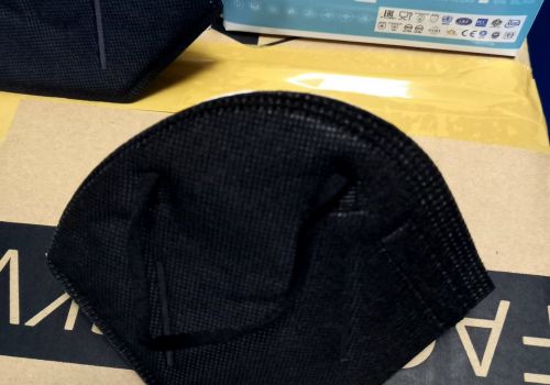 Khẩu trang N95 FVN màu đen